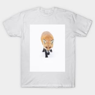 Red fox walking in the snow T-Shirt